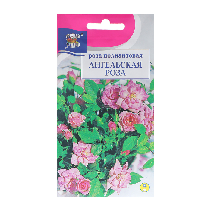 Семена цветов Роза полиантовая