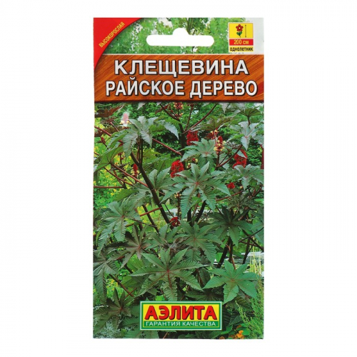 Семена цветов Клещевина 
