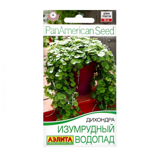 Семена цветов Дихондра 