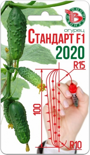 Огурец Стандарт F1 2020