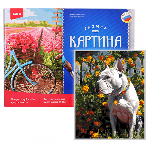 Картина по номерам холст на подрамнике 40*50см 
