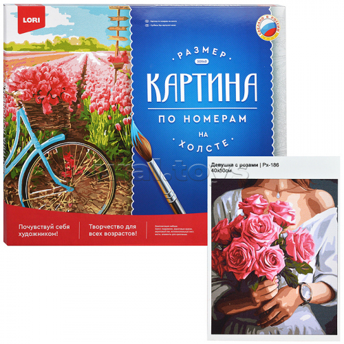 Картина по номерам холст на подрамнике 40*50см 