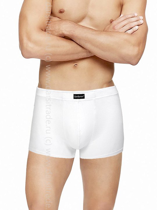 Трусы мужские GS5020 Gentlemen BIG шорты