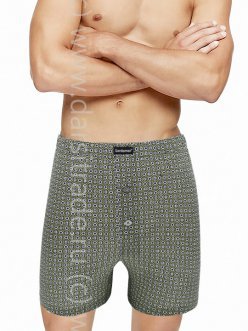 Трусы мужские GB7962 Gentlemen боксеры