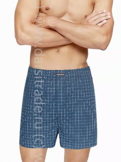 Трусы мужские GB7974 BIG Gentlemen боксеры