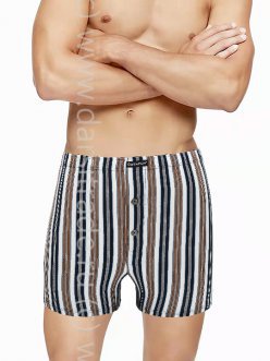 Трусы мужские GB7966 Gentlemen боксеры