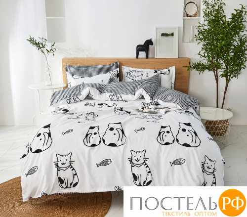 DF02-488-70 код1179, КПБ Dream Fly 2 спальный, 70x70 (2 шт), Микросатин, ПВХ упаковка