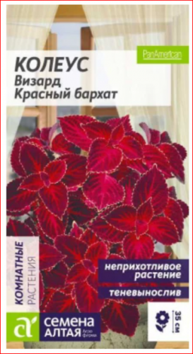 .Колеус Визард Красный бархат/Сем Алт/5 шт.
