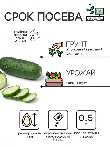 Семена Огурец 
