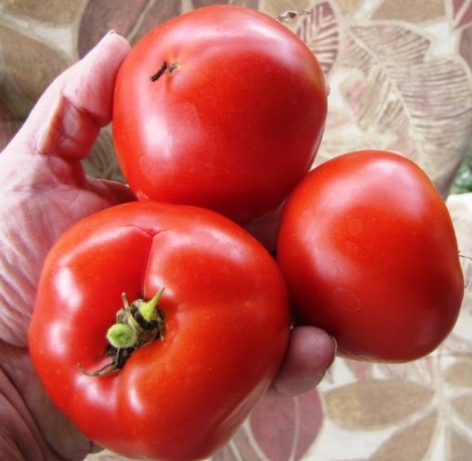 Орегонская весна (Oregon Spring)