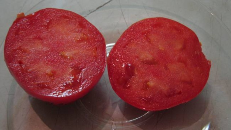 Орегонская весна (Oregon Spring)