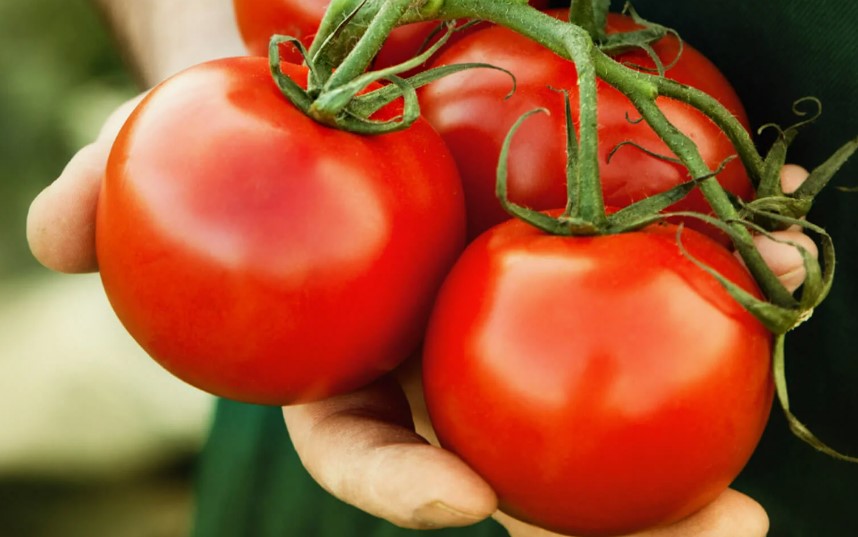 Sioux НОВИНКА