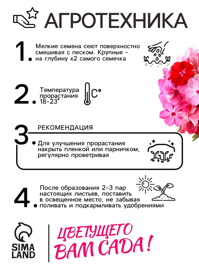 Семена цветов Флокс