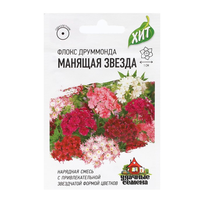 Семена цветов Флокс (Друммонда)