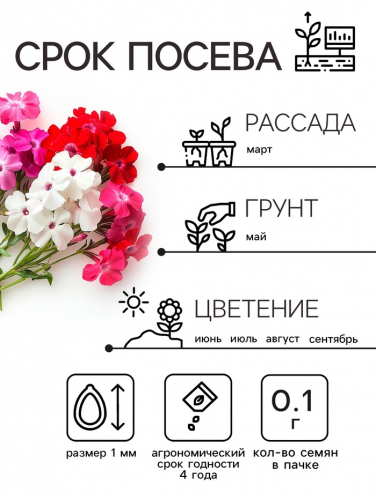 Семена цветов Флокс 