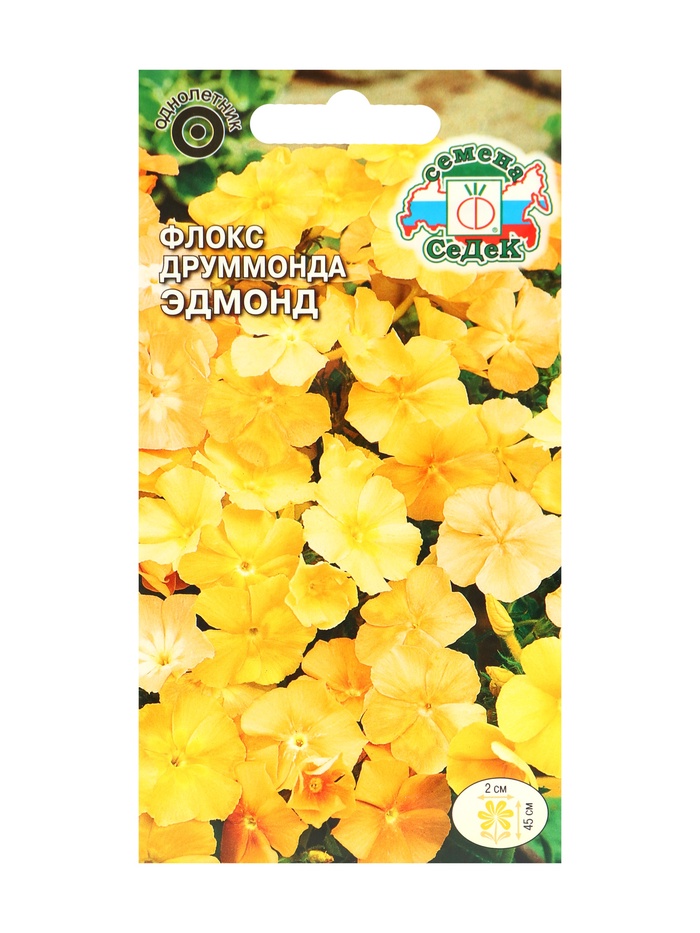 Семена цветов Флокс «Эдмонд», Евро, однолетник, 0.2 г