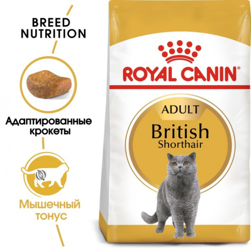 Сухой корм RC British Shorthair для британских кошек, 4 кг