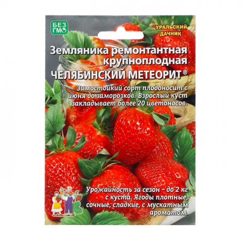 Семена Земляника 