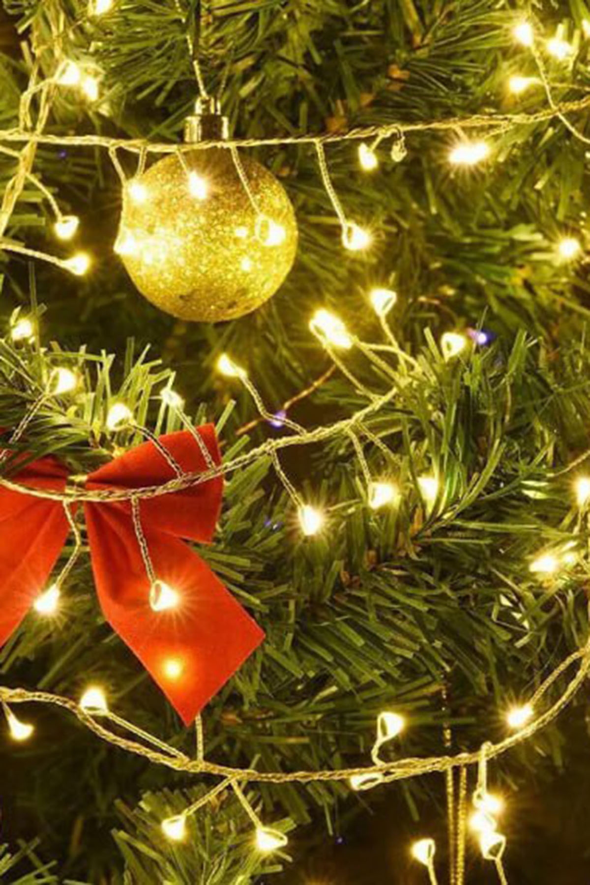 Гирлянда новогодняя №ГРЛ003-1 (24/615)