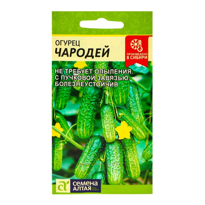 Семена Огурец