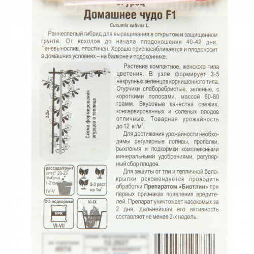 Семена огурца 