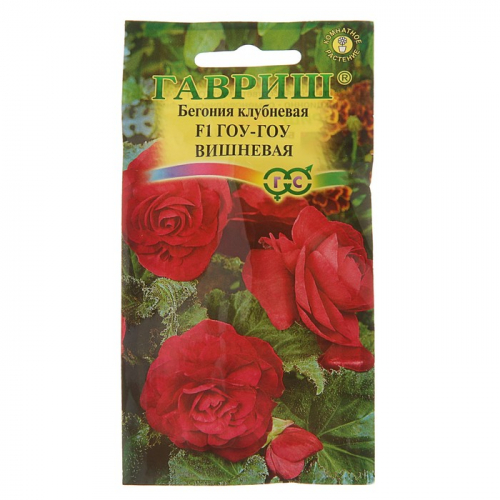 Семена комнатных цветов Бегония 