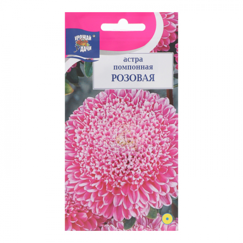Семена цветов Астра 
