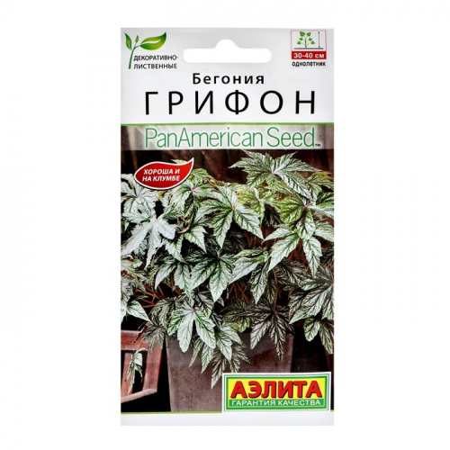 Бегония Грифон Семена Купить