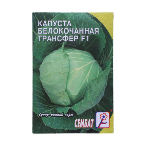Семена Капуста белокачанная 
