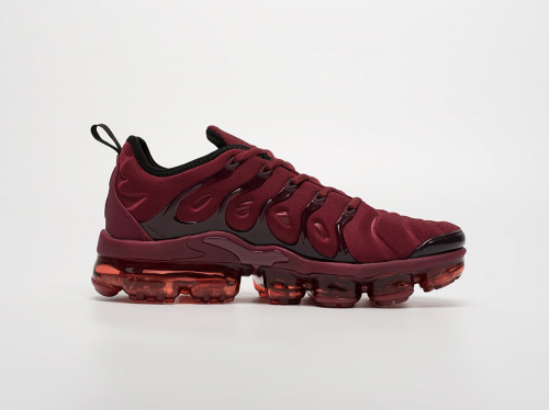 Кроссовки Nike Air VaporMax Plus