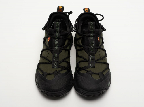 Кроссовки Nike ACG Air Terra Antarktik Low