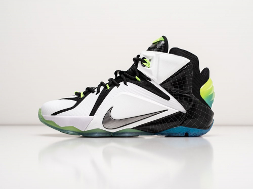 Кроссовки Nike Lebron 12