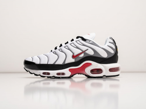 Кроссовки Nike Air Max Plus TN