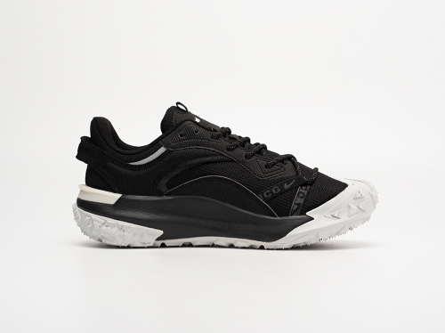 Кроссовки Nike ACG Mountain Fly 2 Low