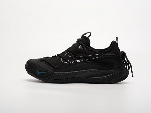 Кроссовки Nike ACG Air Terra Antarktik Low