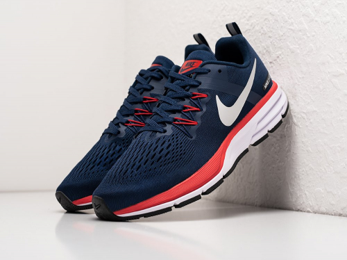 Кроссовки Nike Air Zoom Pegasus 31