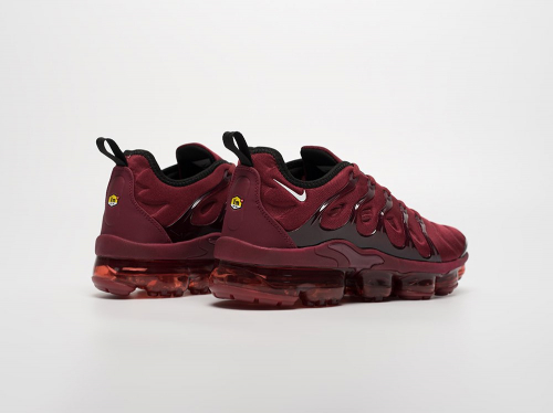 Кроссовки Nike Air VaporMax Plus