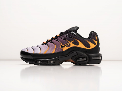 Кроссовки Nike Air Max Plus TN