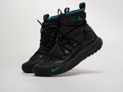 Кроссовки Nike ACG Air Terra Antarktik