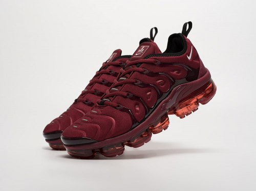 Кроссовки Nike Air VaporMax Plus