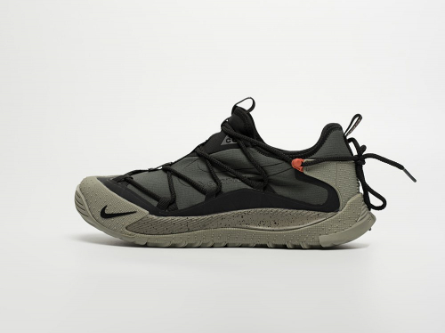 Кроссовки Nike ACG Air Terra Antarktik Low