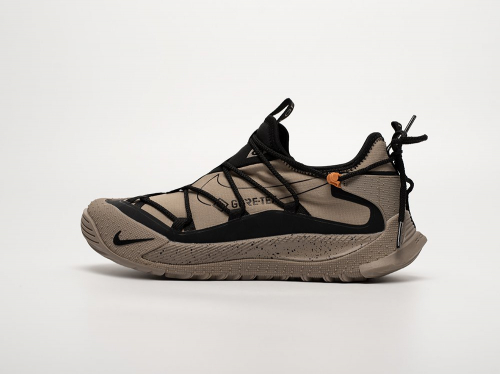 Кроссовки Nike ACG Air Terra Antarktik Low