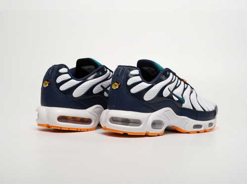 Кроссовки Nike Air Max Plus TN