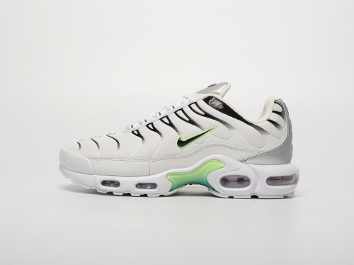 Кроссовки Nike Air Max Plus TN