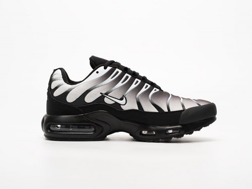 Кроссовки Nike Air Max Plus TN