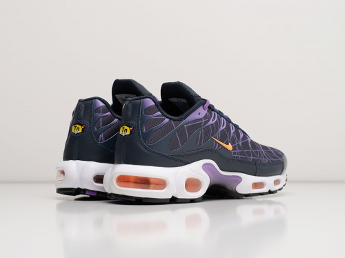 Кроссовки Nike Air Max Plus TN