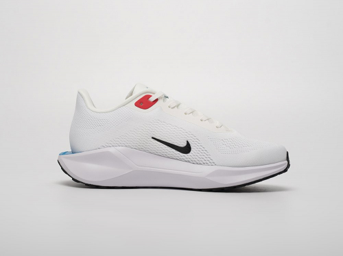 Кроссовки Nike Air Zoom Pegasus 41