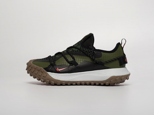 Кроссовки Nike ACG Mountain Fly Low