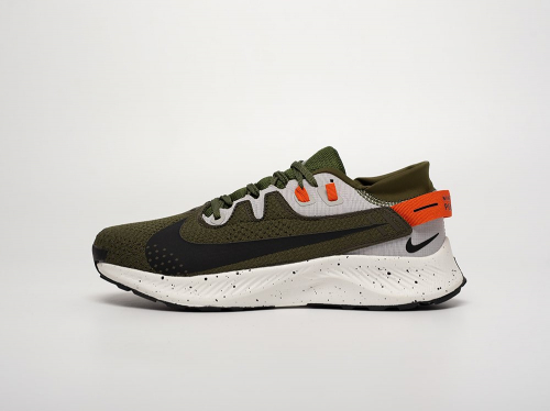 Кроссовки Nike Pegasus Trail 2