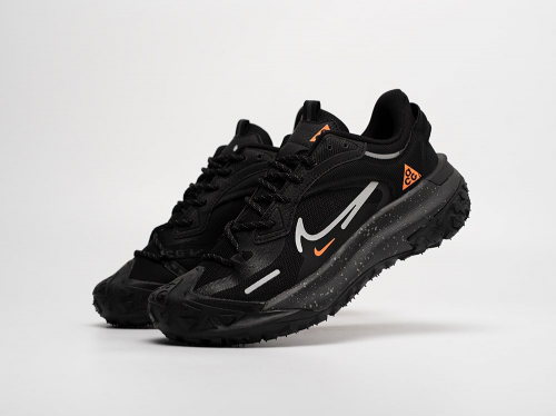 Кроссовки Nike ACG Mountain Fly 2 Low